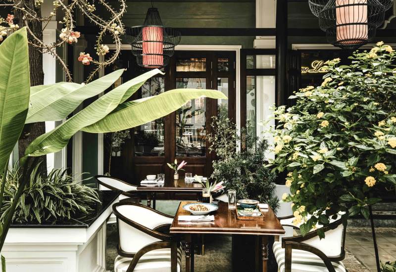 Madame Lam Madame Lam